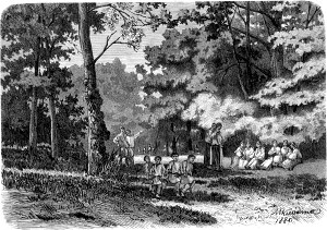 .    . .  .   . , 1880 .