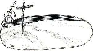   ,    ... ,  ,   !    . .   .  . . , 1912