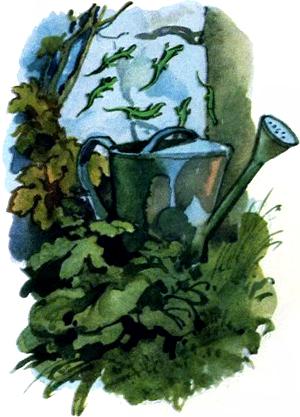 Шесть ящериц. Иллюстрация Б. Дехтерева к сказке Шарля Перро «Замарашка (Золушка)»