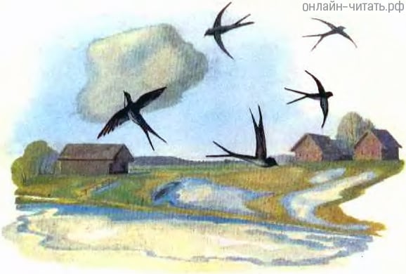 .    . .    ( ,  ...).  . , 1980 .