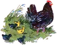      ,         .    .  .  . , 1956