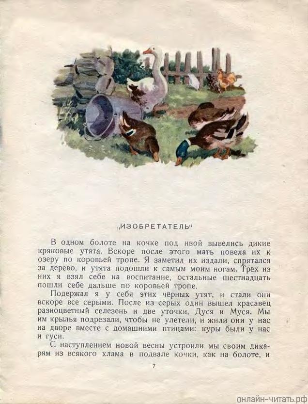       ,      .           ,   .    .  .  . , 1956