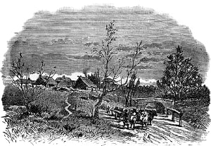        (  ...).   . . , 1884 .