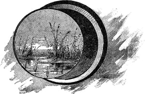    . .  .   . .  :   . .  - : . , 1899.