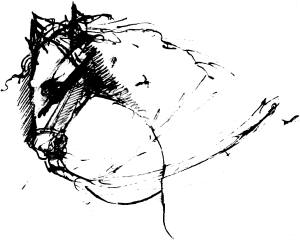 Конь. Рисунок Пушкина