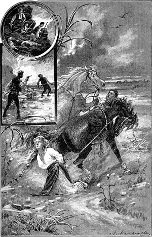       ;      ,           .    . .         .  . , 1887