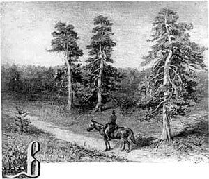 ...[  ...].    . .  ...  ....  ,   100- . . , 1899.