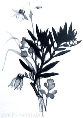  IV .  . .      ,    