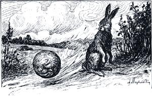 И покатился колобок дальше — только его заяц и видел. Иллюстрация к сказке «Колобок». Издание 1913 г.