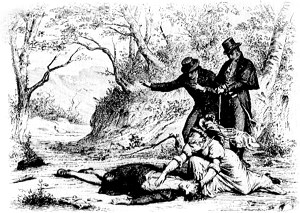  VII.  .       .  - , 1884 .