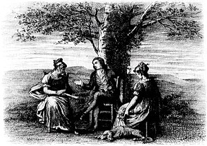  VIII.  .       .  - , 1884 .