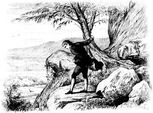  X.     .       .  - , 1884 .