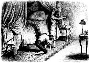  XV.  .       .  - , 1884 .