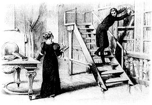  .  IX. .       .  - , 1884 .