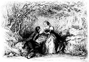  .  XXXI.    .       .  - , 1884 .