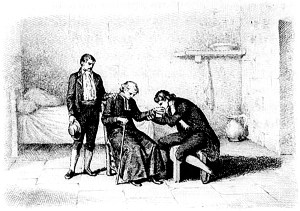  .  XXXVII. .       .  - , 1884 .