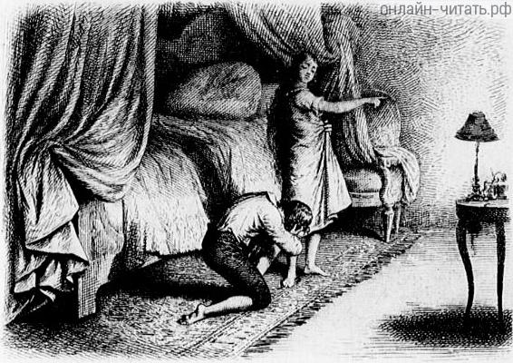  XV.  .       .  - , 1884 .