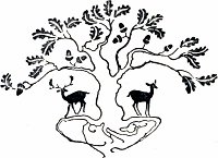 ����� ������ �����. ����������� � ������ ��������� ������ ������������ ���������. �������� ����� ������, 1899 �.