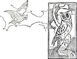 ����� ������. ����������� � �����������. ����������� � ������ ��������� ������ ������������ ���������. �������� ����� ������, 1899 �.