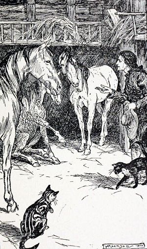 � ���� ����� ���� ���������� � ����������, ����������� � ����� � ����� �������; � ��� ������� ������� �������� ��� �������������� � ������� � ������� �� ������... ����������� � ������ ��������� ������ ������������ ���������. �������� ����� ������, 1899 �.