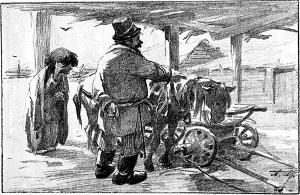   -?    ,    ,         .  ,     ,  , !    . .     .  . .   .      1894 .  .-, - . ,  , .  17. 1894.