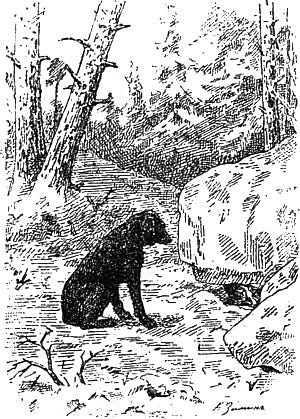    . .  .  . , .-, 1908.