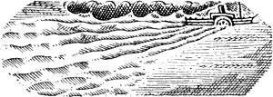      . .   .  . . , 1931 .