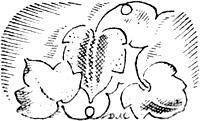      . .  .  . . , 1931 .