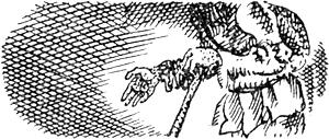      . .  .  . . , 1931 .