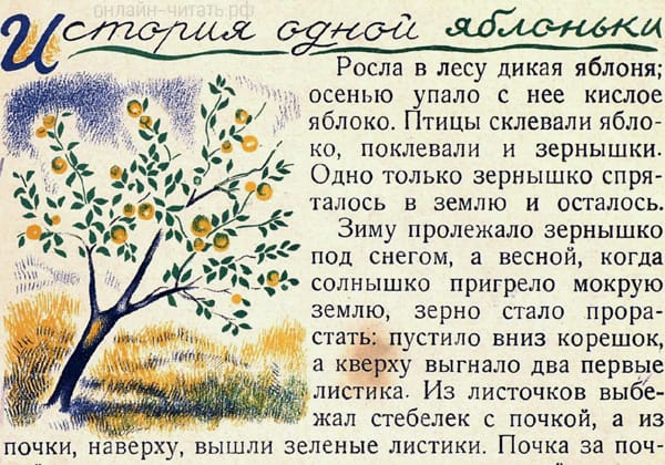     ...    . .    .  : . -, 1928.