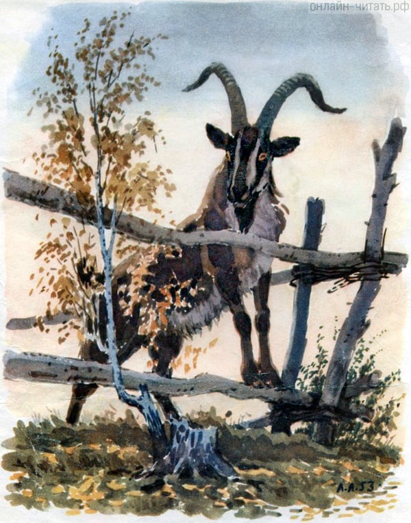 .    . . .    , 1953