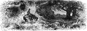    XVI    .  1880 . :  , ,   . .