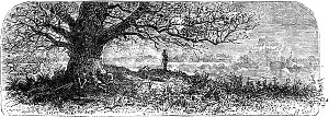    XX    .  1880 . :  , ,   . .