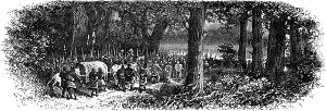    XXI    .  1880 . :  , ,   . .