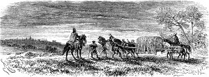    XXVIII    .  1880 . :  , ,   . .