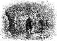    II    .  1880 . :  , ,   . .