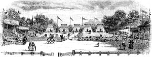 VII.      .  1880 . :  , ,   . .