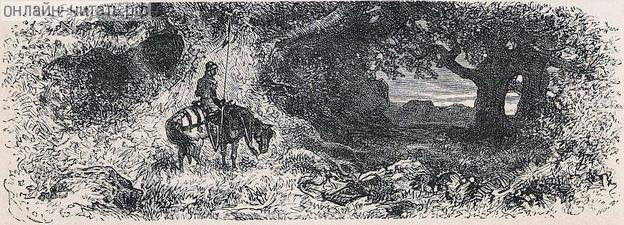    XVI    .  1880 . :  , ,   . .