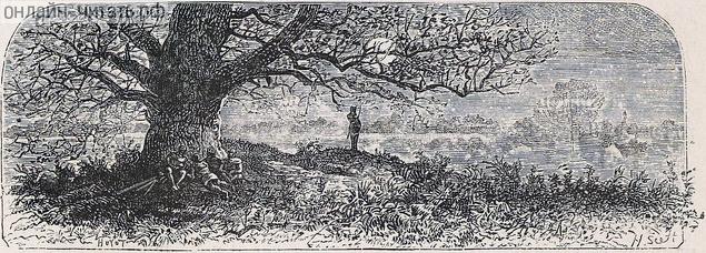   XX    .  1880 . :  , ,   . .