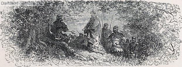    XXXIII    .  1880 . :  , ,   . .