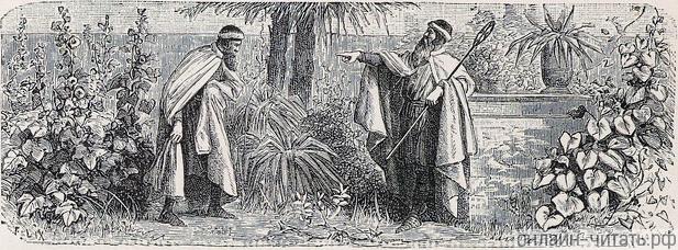    XXXVI    .  1880 . :  , ,   . .