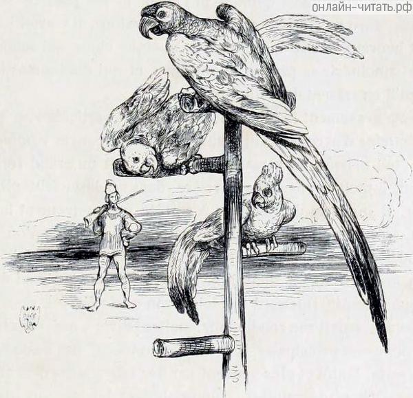         ,      ,   .  , , ,      ,       .       .  . .  1880 .