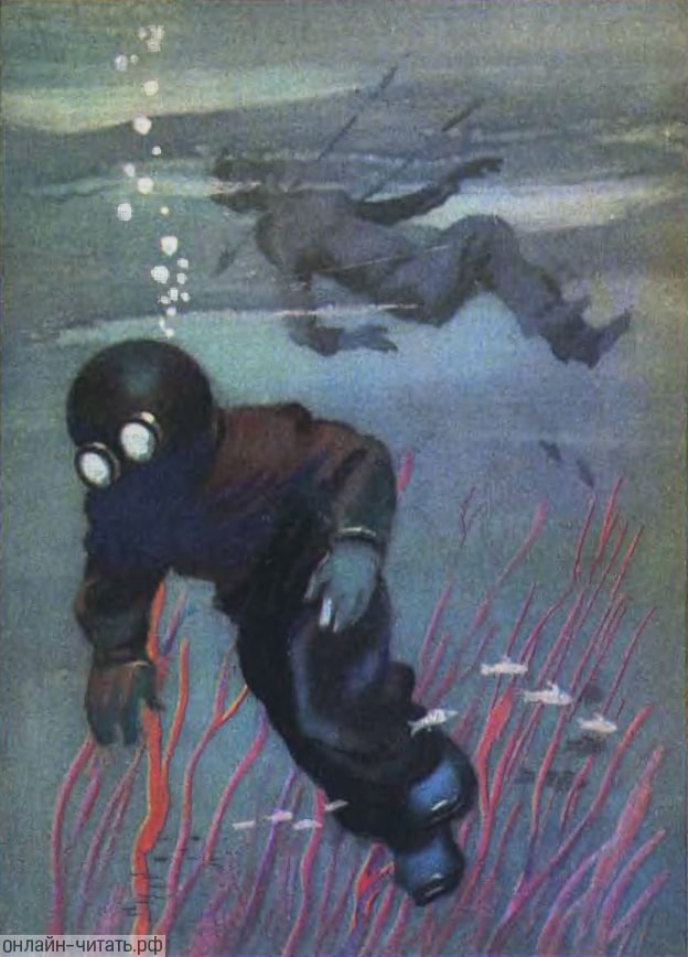         .  . , 1964