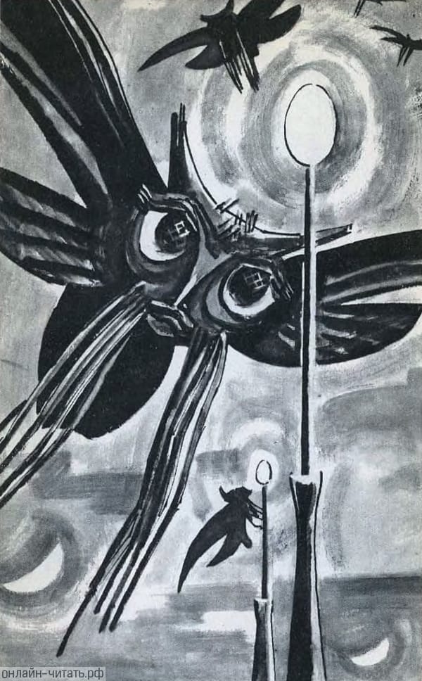       .  . , 1964