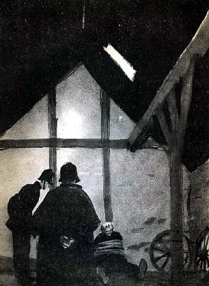        .  . , 1964