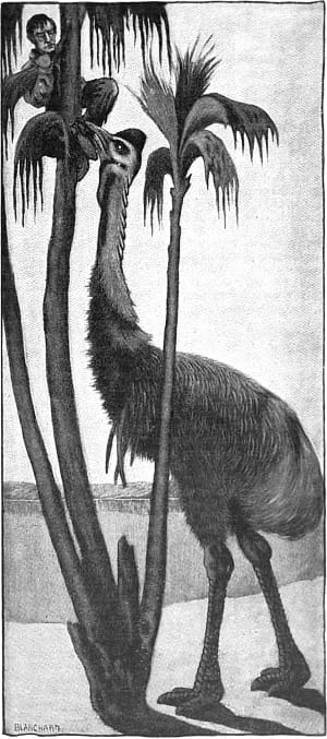     ,         ,      .       .   , 1905