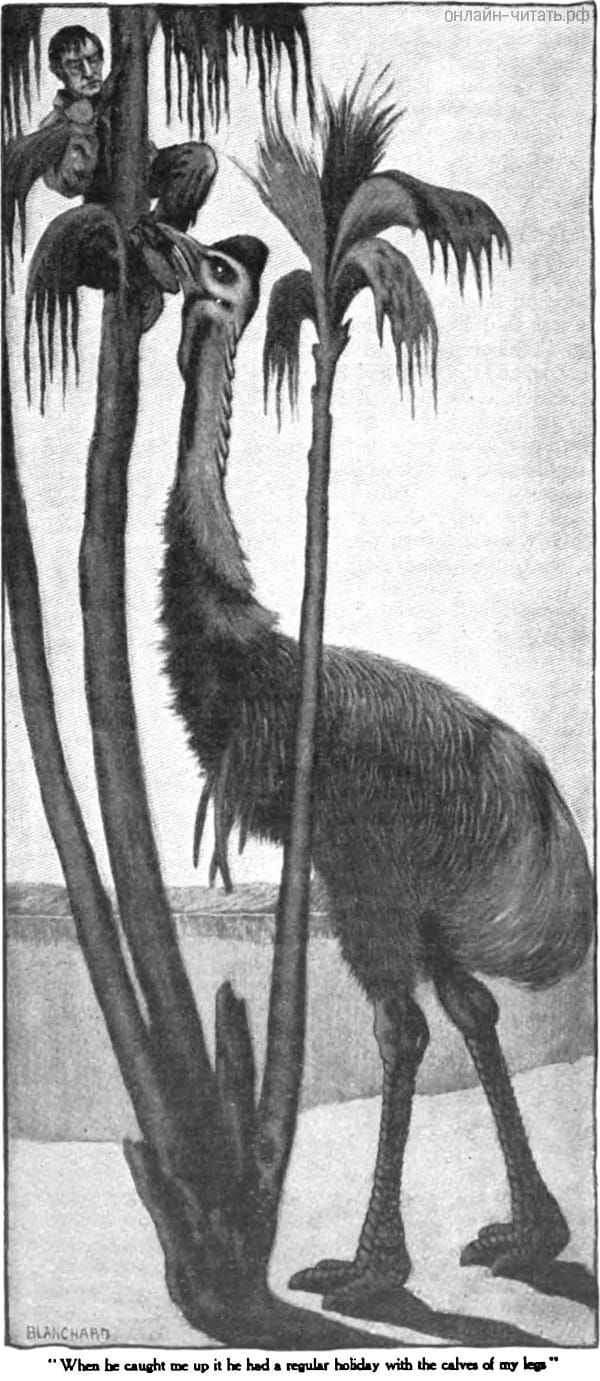     ,         ,      .       .   , 1905