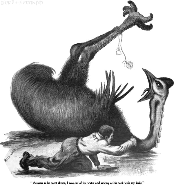             .  .      , ,    ,          .       .   , 1905