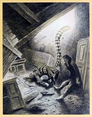  -      , ,       .       .   , 1906 .