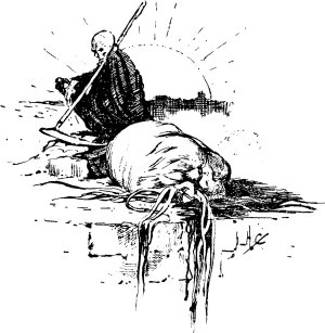   8.  .       .   , 1906 .